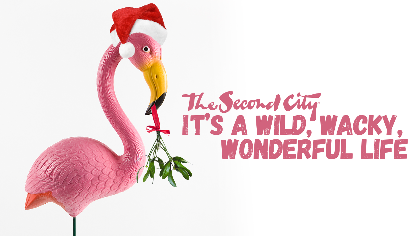 It's a Wild, Wacky, Wonderful Life